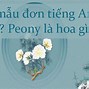 Mặt Bằng Giá Tiếng Anh Là Gì